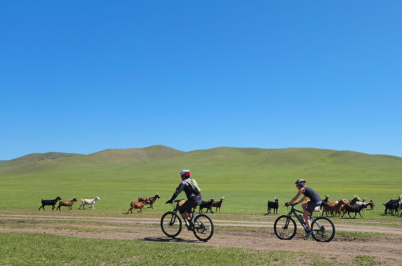 Mountain biking in Mongolia